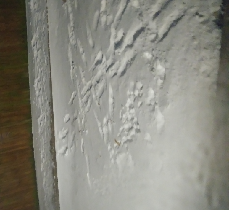 Untitled203_20210217011806.png