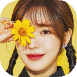 w (13).png