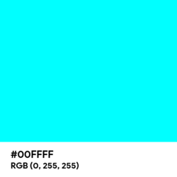Webp.net-resizeimage.png