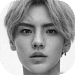 Wenjun badge 2.png