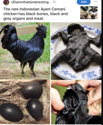 wingie-emo-chickie.PNG