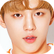 Wondae3.png
