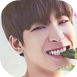 wonwoo1.png