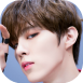 Wooseok 3.png