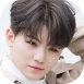 woozi kps 1.png