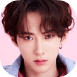 Xinchun badge 1.png
