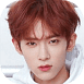 xinchun4.png