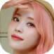 xt3.png