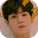 y (2).png