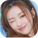 y (2).png