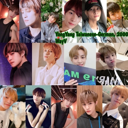 yangyang 2020.jpg