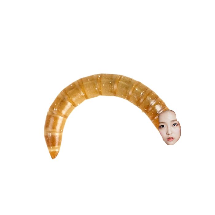 yeeun worm.jpg