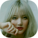 yrbadge4.png
