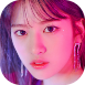 yujin.png