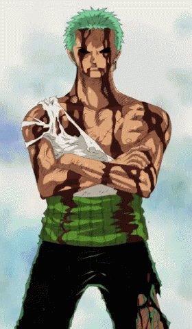zoro-one-piece.gif