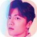 YoungBin1.png