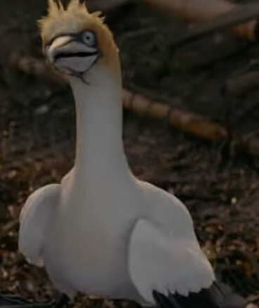 scuttle.png
