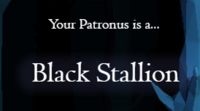 1576509979352.png