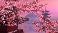 sakura-wallpaper.jpg