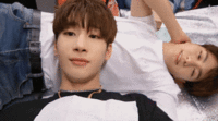 UWU.gif