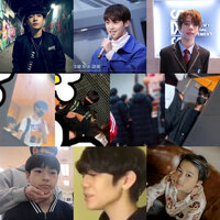 pledis.jpg