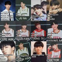Jyp (1) withinfo.jpg