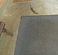 IMG_20200920_113510.jpg