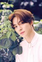 E%27LAST_Romin_Day_Dream_promo_photo.png