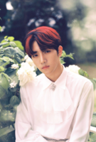 E%27LAST_Baek_Gyeul_Day_Dream_promo_photo.png