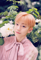 E%27LAST_Won_Jun_Day_Dream_promo_photo.png