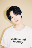 yhtgrfed.PNG