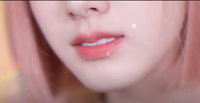 003.png
