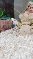 20210819_101733.jpg