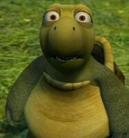 the turtle face in 4k.jpg