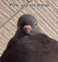 1672361540172.png