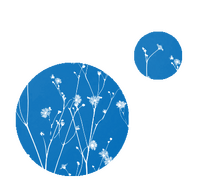 Moonbin Sig Right by Ani07.png