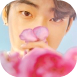 kevincrop__1543729369_84165.png