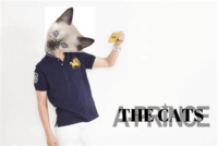 1552659427940.png