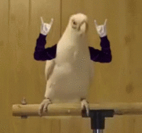 0D914721-26EC-49AA-B98C-3466ECB802AB.gif