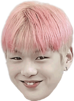 kisspng-wanna-one-produce-101-season-2-k-pop-1x1=1-to-be-little-man-scatters-flowers-5af13479c...png