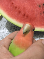 1554582019721.png