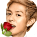 lee_hoo_flower1__1555527042_86735.png