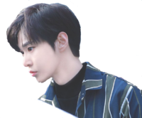 oie_transparent (9).png