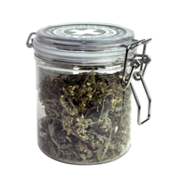 weed-transparent-jar-1.png
