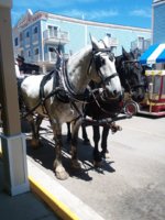 20190622_140249.jpg