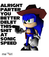 alright parter you better delet this shit at sonic speed.png