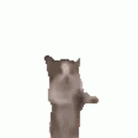 IMG_0629.gif