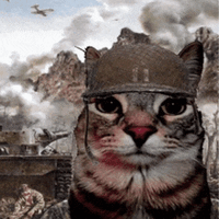 IMG_0624.gif