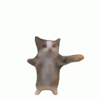 IMG_0626.gif