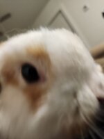 1000015524.jpg